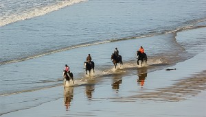 YOLO - stay safe or take risks?