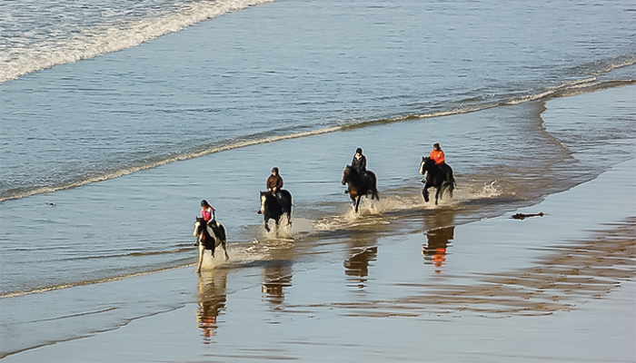 YOLO  – stay safe or take risks?